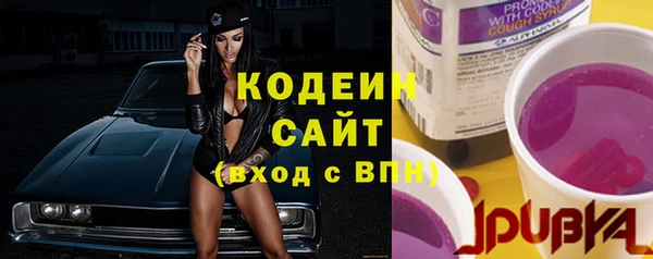 хмурый Алзамай