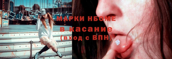 шишки Ельня