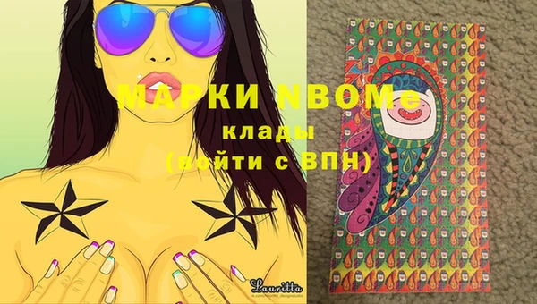 хмурый Алзамай