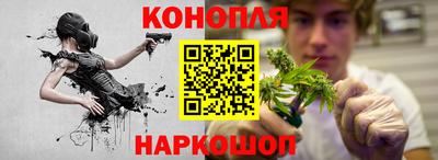 сатива Волжский