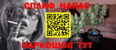 сатива Волжский