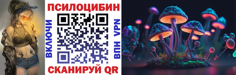 купить наркоту  KRAKEN сайт  Галлюциногенные грибы Magic Shrooms  Котельники 