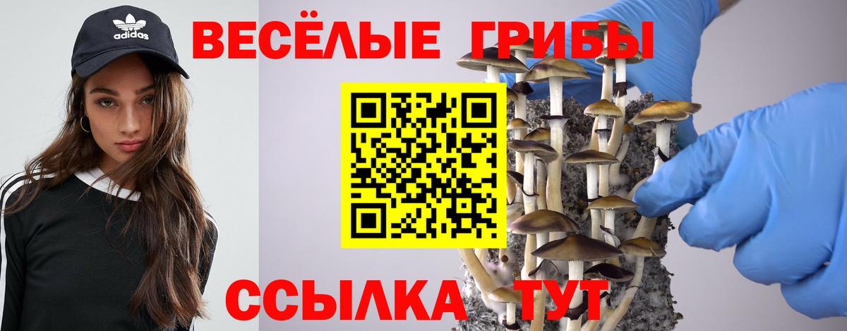 Галлюциногенные грибы GOLDEN TEACHER Котельники