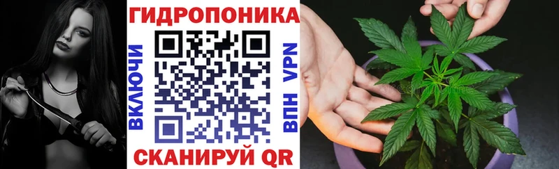 Конопля OG Kush Котельники